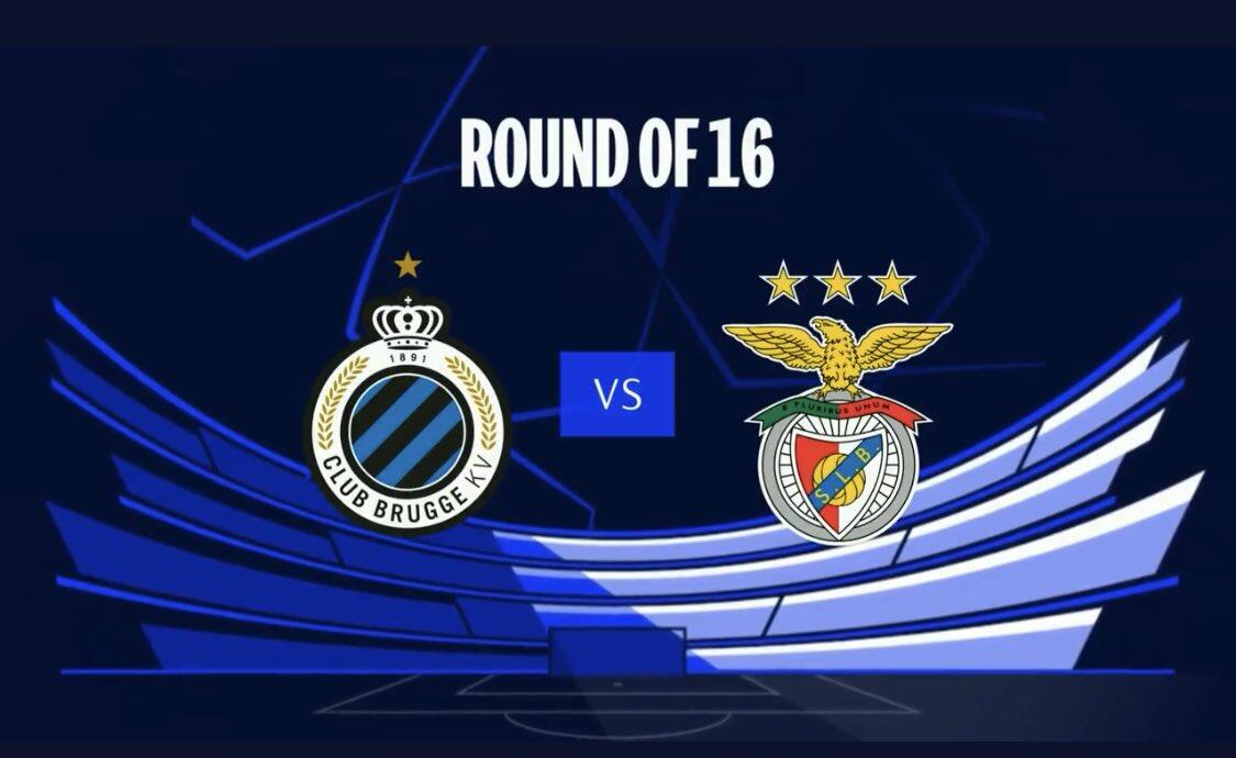 我们可以发 我们可以发